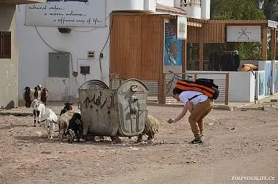 Fotografie z článku 14
