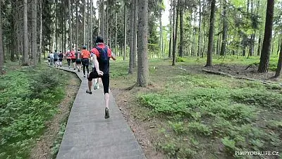 Fotografie z článku 47