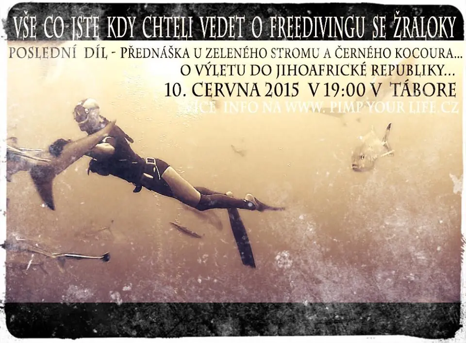 Fotografie z článku
