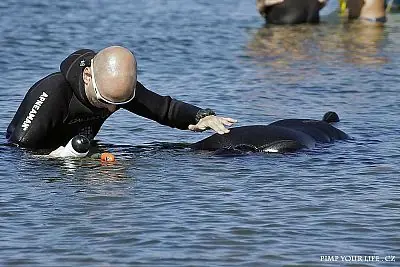 Fotografie z článku 3