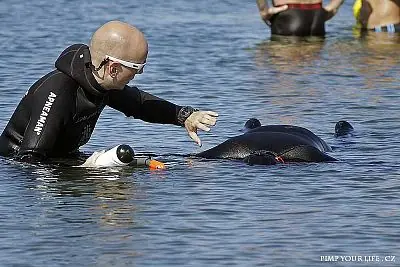 Fotografie z článku 12