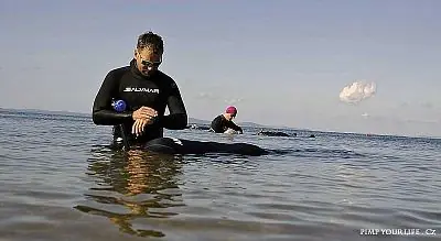 Fotografie z článku 41