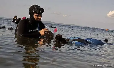 Fotografie z článku 74