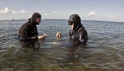 Fotografie z článku 76