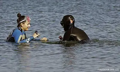 Fotografie z článku 83