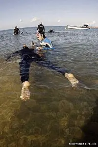 Fotografie z článku 85