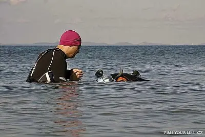 Fotografie z článku 87