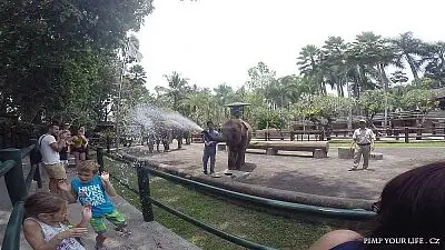 Fotografie z článku 4