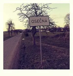 Fotografie z článku 42