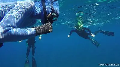 Fotografie z článku 63