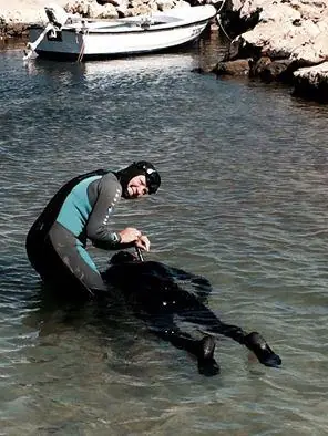 Fotografie z článku