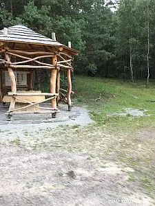 Fotografie z článku 31