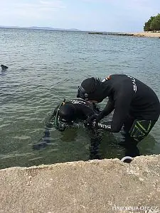 Fotografie z článku 41