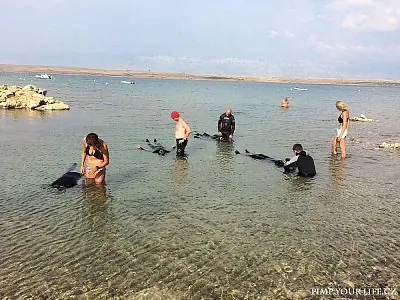 Fotografie z článku 27
