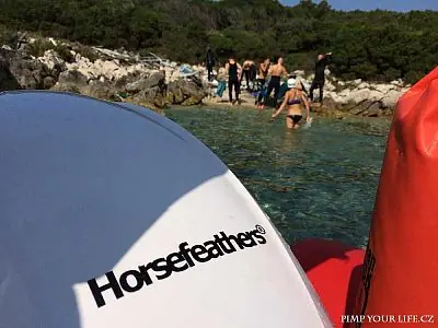 Fotografie z článku 77