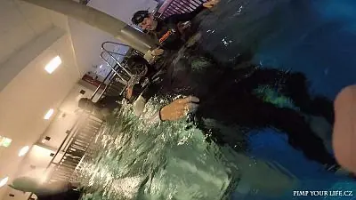 Fotografie z článku 9