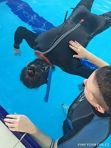 Fotografie z článku 18
