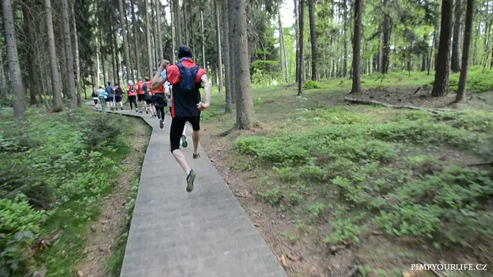 Fotografie z článku