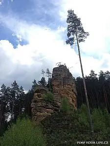 Fotografie z článku 23