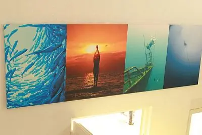 Fotografie z článku 16