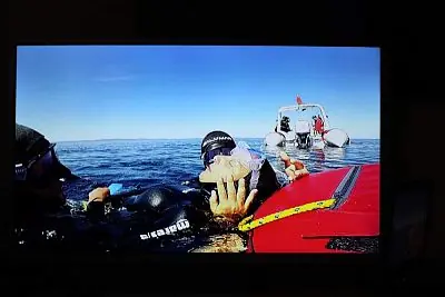 Fotografie z článku 27
