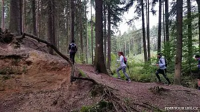 Fotografie z článku 35