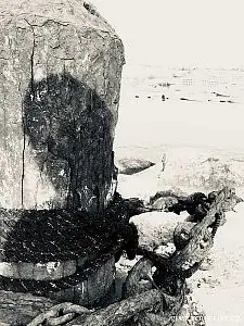 Fotografie z článku 74