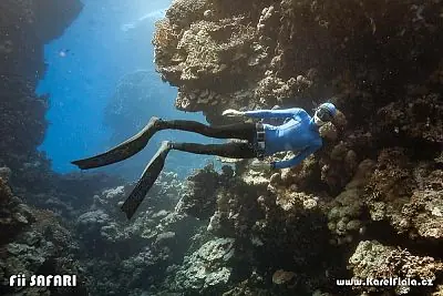 Fotografie z článku 42