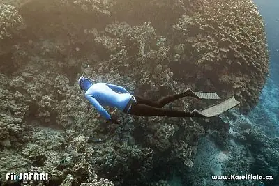 Fotografie z článku 109