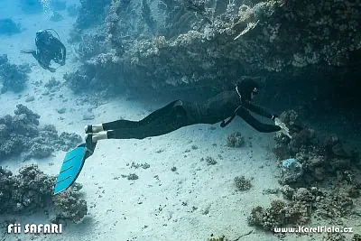 Fotografie z článku 218