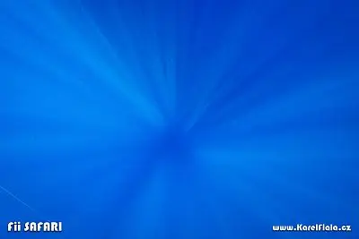 Fotografie z článku 339