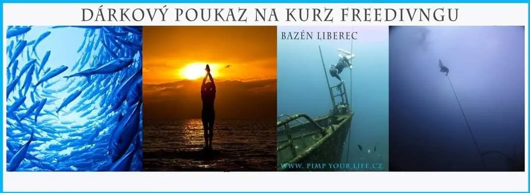 Fotografie z článku