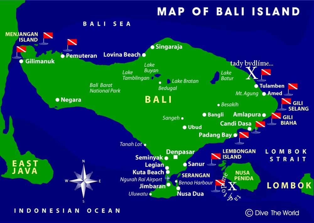 Bali - výlet na Manty.