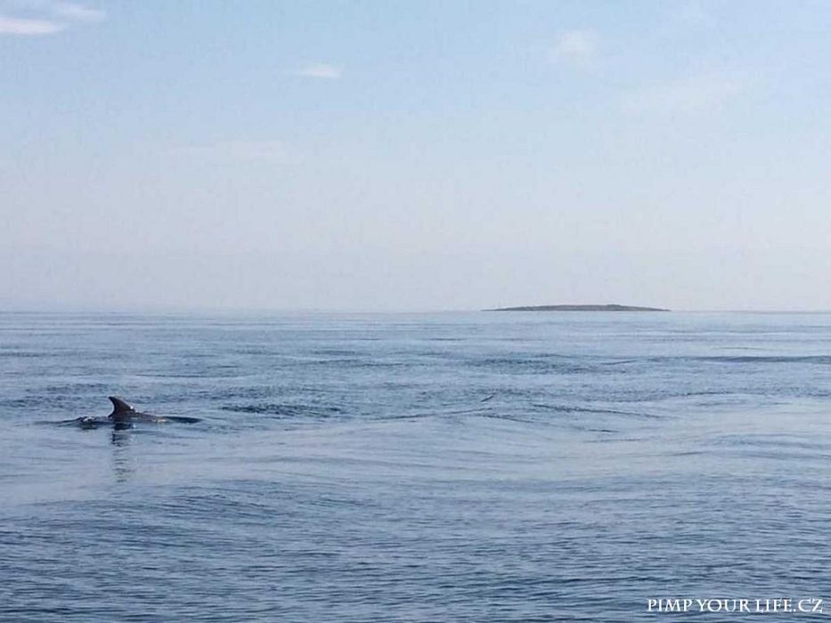 2017 - Vir freediving kurzy, aneb cesta dolů čtrnáct dní.