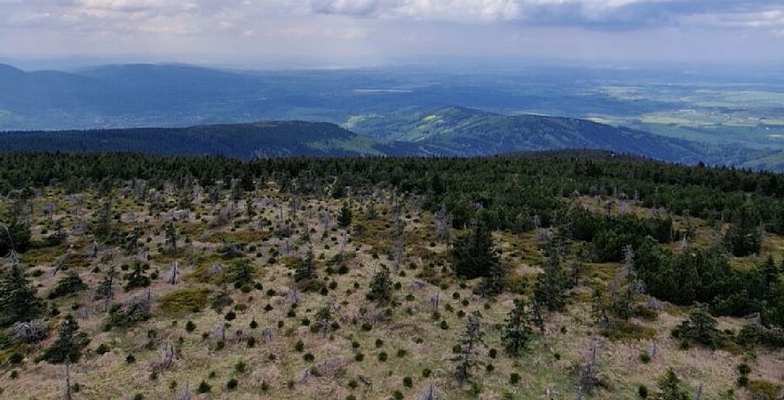 Co je to KranioSakrální terapie a proč je vhodná pro sportovce