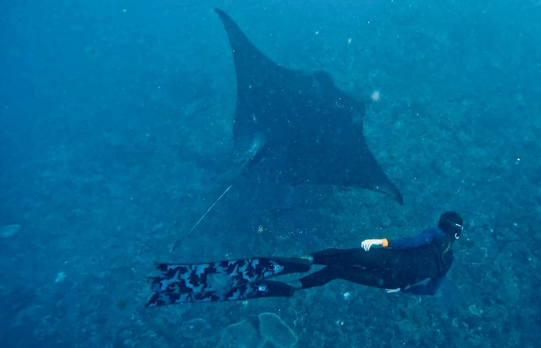 Bali myšlenky - 2026