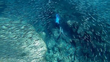 FREEDIVING PELOPONÉS