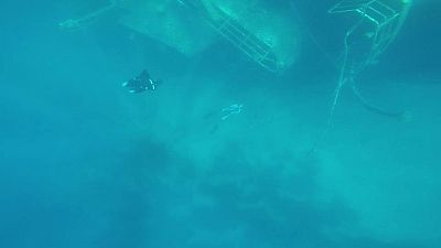 19260658-1636043439760992-7521078018326569219-n