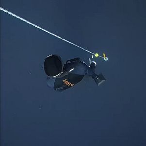 Bali myšlenky - 2026