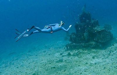 Bali myšlenky - 2026