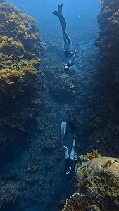 Bali myšlenky - 2026