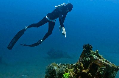 Bali myšlenky - 2026