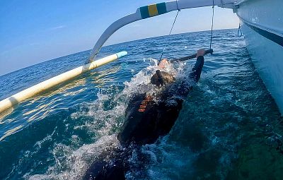 Bali myšlenky - 2026