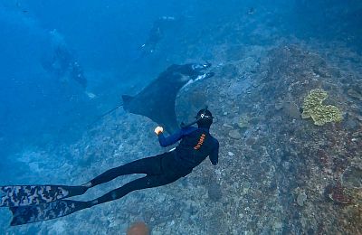 Bali myšlenky - 2026