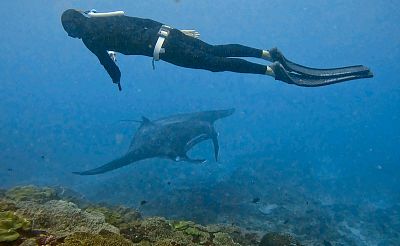 Bali myšlenky - 2026