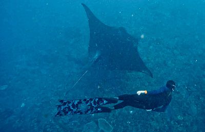 Bali myšlenky - 2026