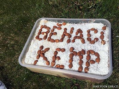 behaci-kemp-2016-22