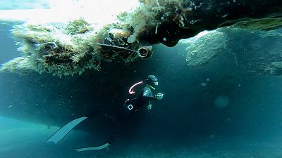 Freediving kurz v Chorvatsku: Fii level 2 Deepblue (40 m)