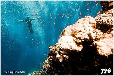 Freediving kurz v Egyptě: trénink pro pokročilé na Blue Hole