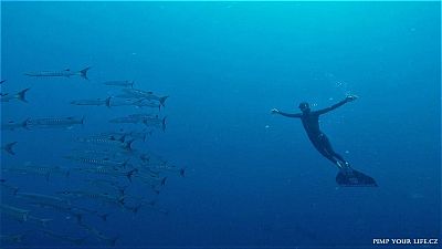 Freediving na Bali: 14denní kemp s možností dokončení FII levlu 1 a 2